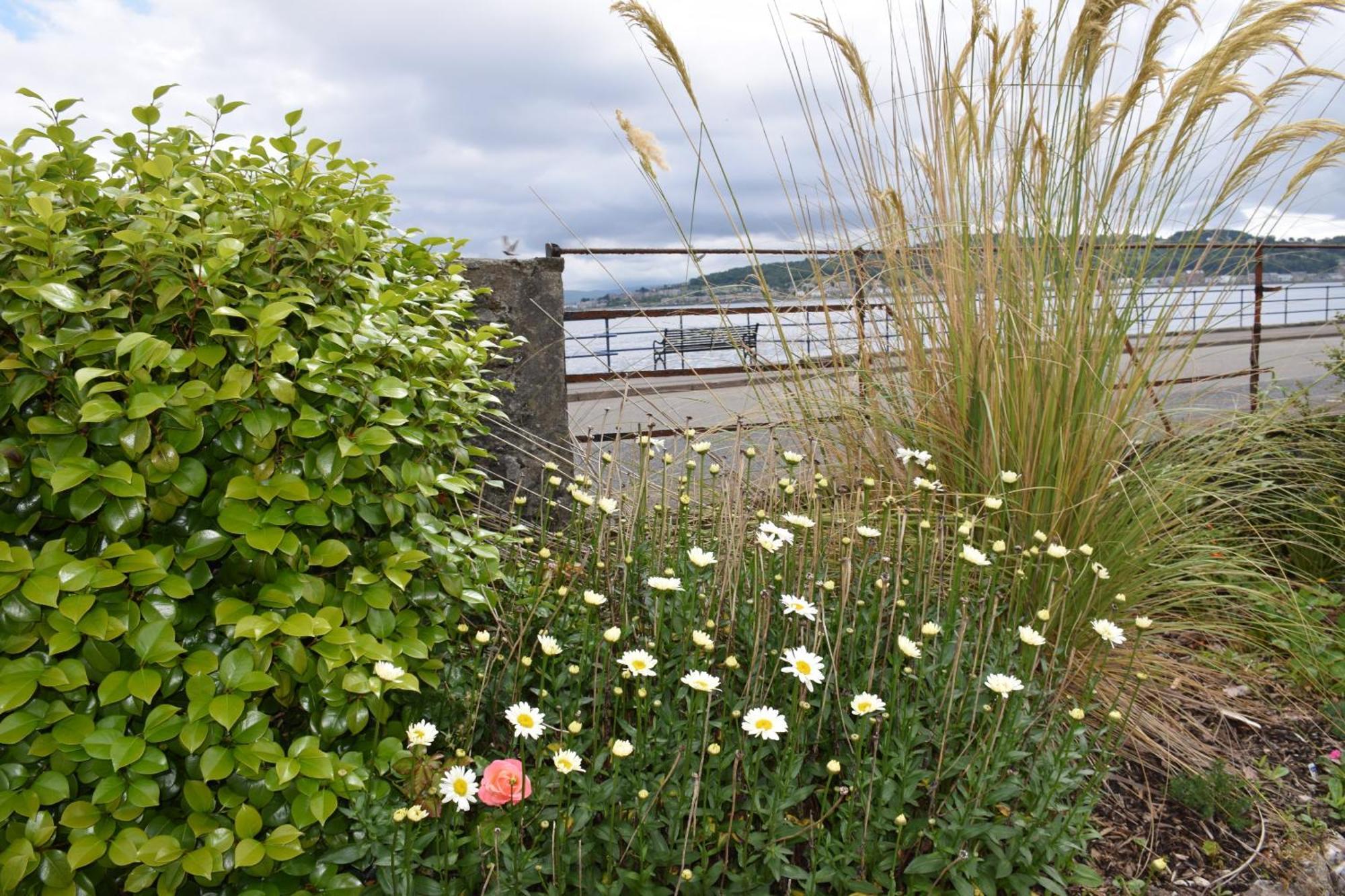 One Marine Place Port Bannatyne Exteriör bild